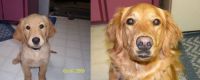 Brandi Then and Now