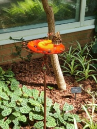 In the butterfly garden at the Indianapolis Zoo