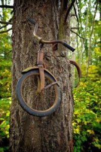 bike tree