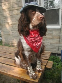 Willow - head engineer!