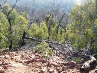 brisbane ranges national park