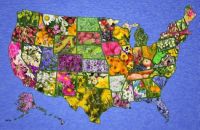 flowers-and-plants-america