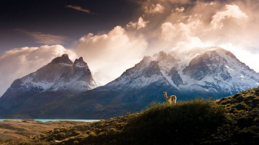 Cuernos del Paine, Chilean Patagonia