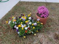 Fall Into My Garden