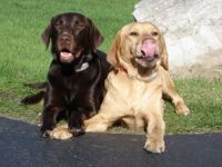Best Friends