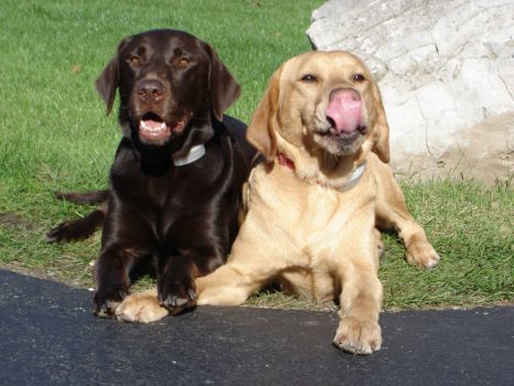 Best Friends