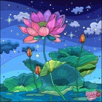 Water Flowers - Lotus