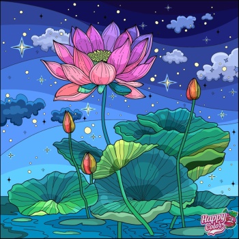 Water Flowers - Lotus