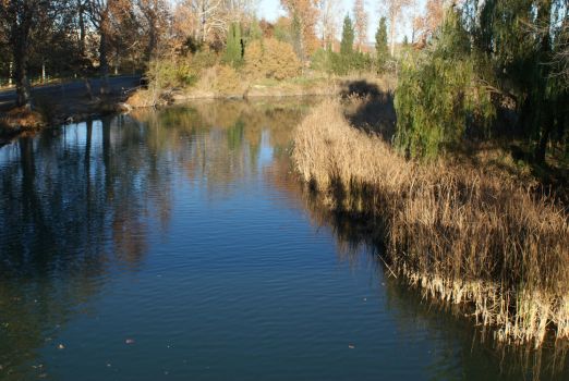 Río Tajo a su paso por Aranjuez