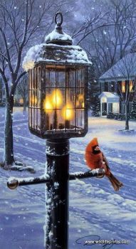 Lantern and Red Bird