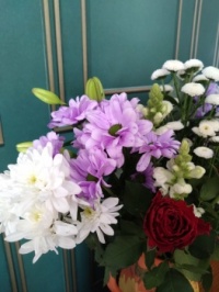 Chrysanthemums