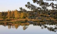 Still Water