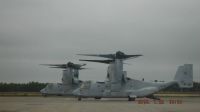 A Flock of Ospreys