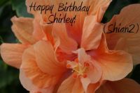 Happy Birthday Shirley!  (Shian2)