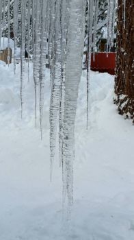 Icicles