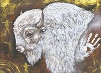 sacred white buffalo