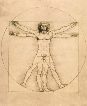 Da Vinci, L'homme de Vitruve (1485-1490)