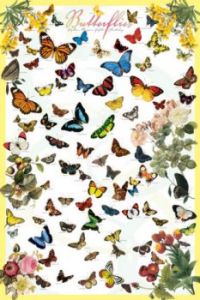 Butterflies for Julie