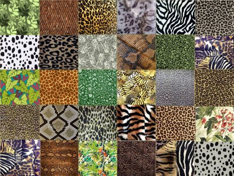Animals & Jungle