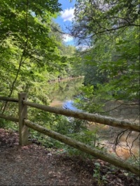 While hiking along Forbidden Drive, Wissahickon Park
