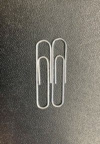 Two Paperclips