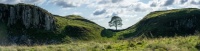 Sycamore_Gap_Tree in Hadrian's wall Northumberland. Destroyed by some unknown moron