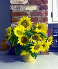 sunflower vase