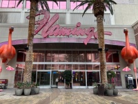 The Flamingo, Vegas