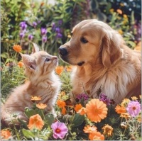 Bezva kamarádi_Good friends