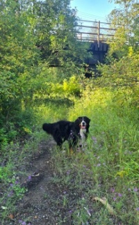 Morning walk