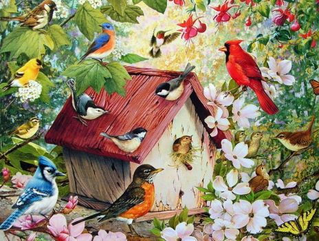 Solve Birds jigsaw puzzle online with 30 pieces