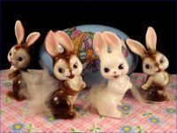 Easter - Cottontail Bunnies