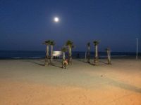 El Campello, espania.