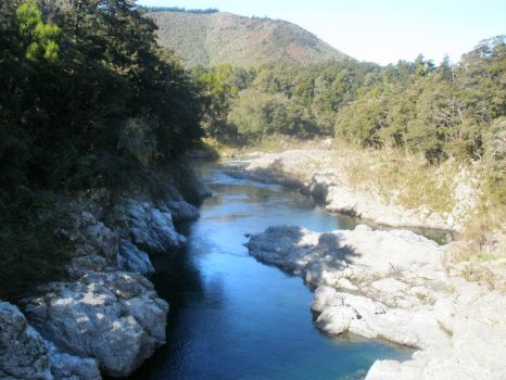 New Zealand-Pelorus River