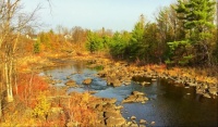Colourful creek