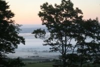 Fog in the Valley