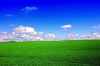 Green-field-blue-sky