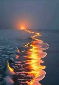 Glowing shore