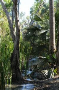 Bitter Springs Australia