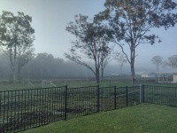 Mist