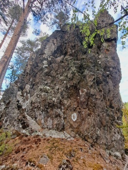 The Rock