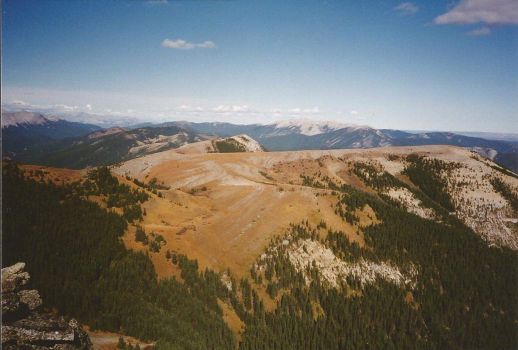 Solve Forget me not Ridge, Kananaskis, Canada jigsaw puzzle online with ...