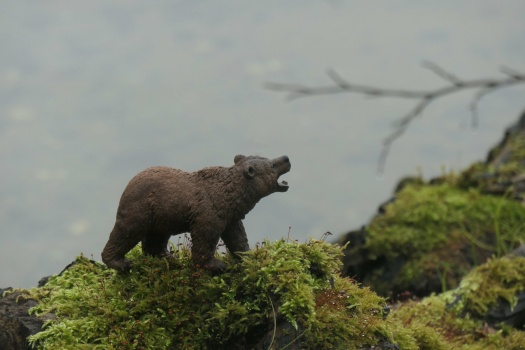 Little Baer Challenge XVIII