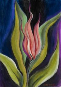 fire tulip