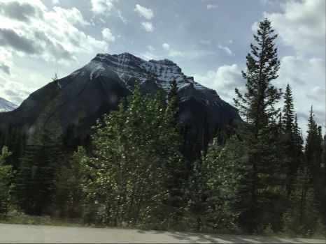 Mountain in Jasper National Park