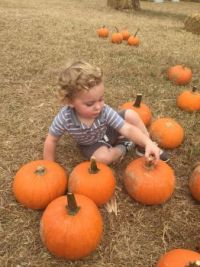Picking Out a Pumpkin