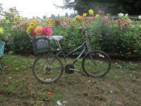 bouquet on a bike