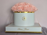 Pink Roses