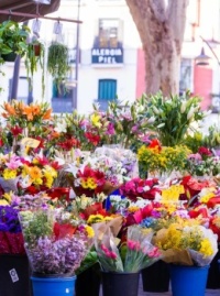 Flower market stall in Spain