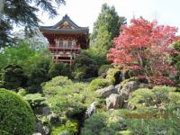 Den japanske have, San Francisco